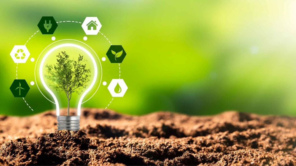 Green Business: Profitable Ideas for a Sustainable Future - Business ...